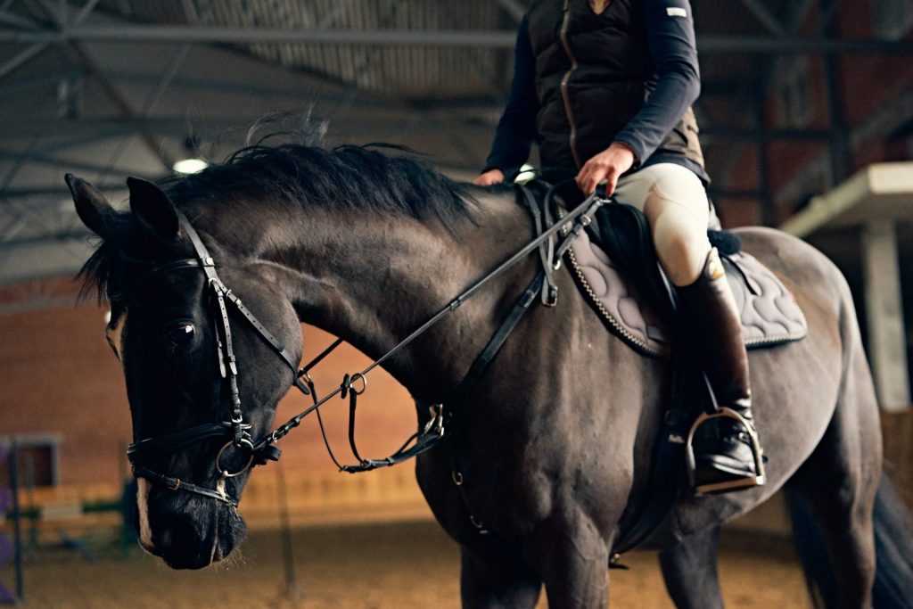 Rytter og sort hest rider i ridehus.