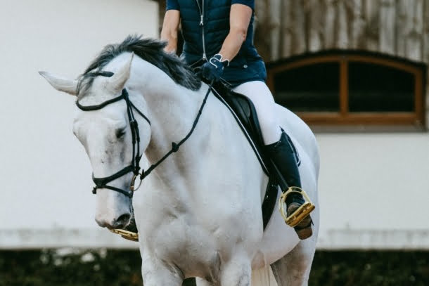 Rytter og hvid hest rider udendørs. 