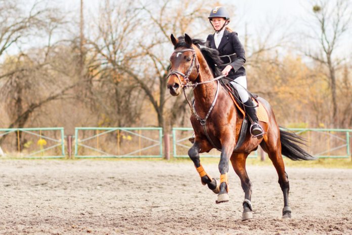 Pige rider på udendørs ridebane