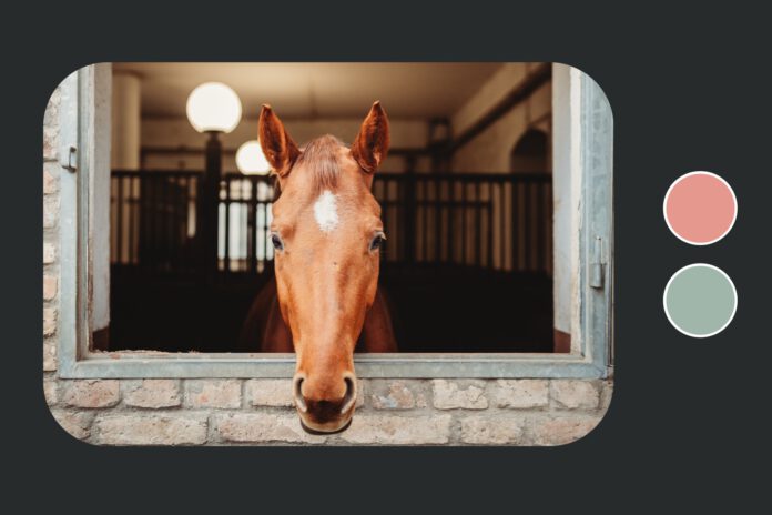 hest i fjernsynsreklame