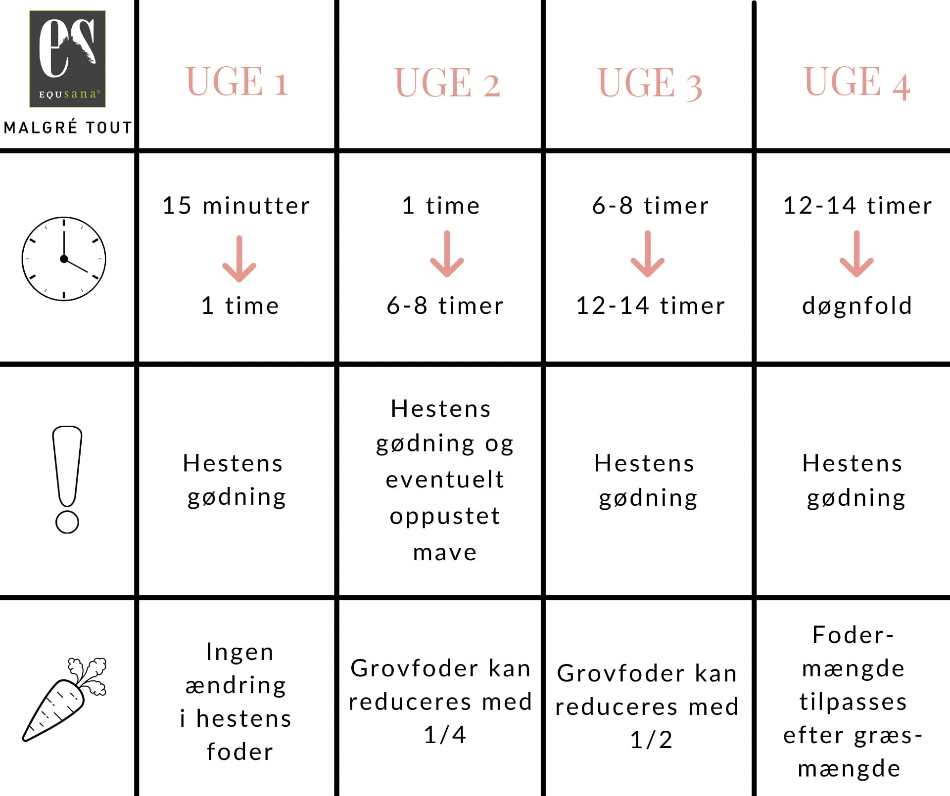 indgræsning af heste med normal huld