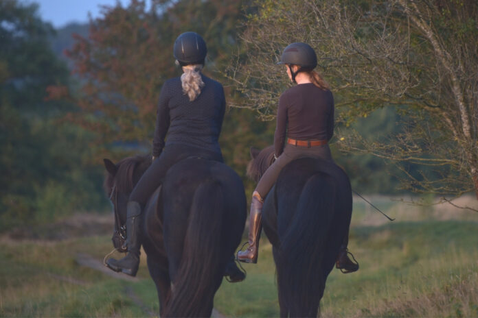 Islændere med ryttere på rider i naturen