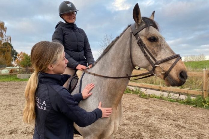 Abella Horsecare Powermedic