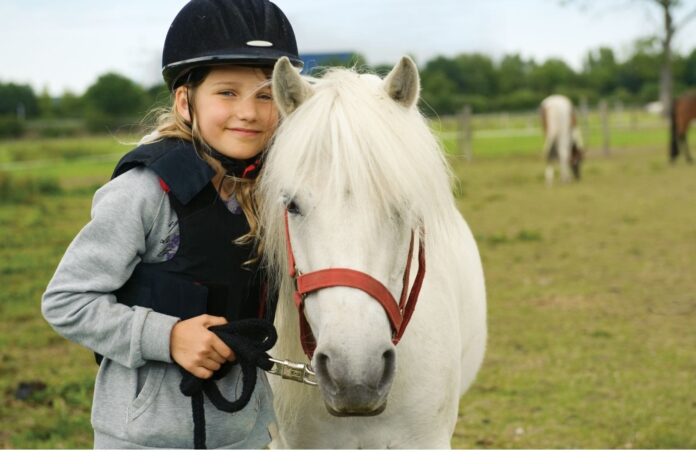Pony eller hest