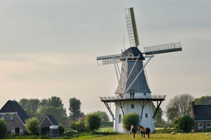 Holland Instagram