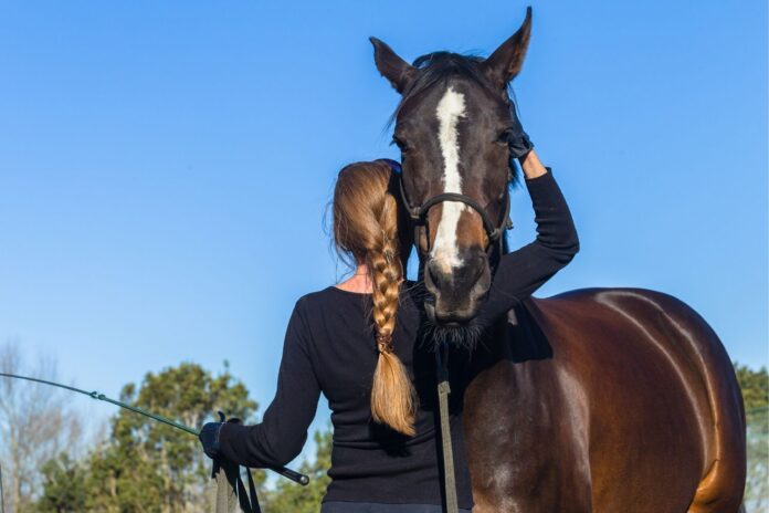hest og rytter