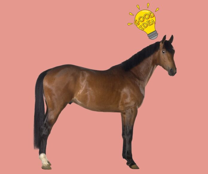 Gode råd
